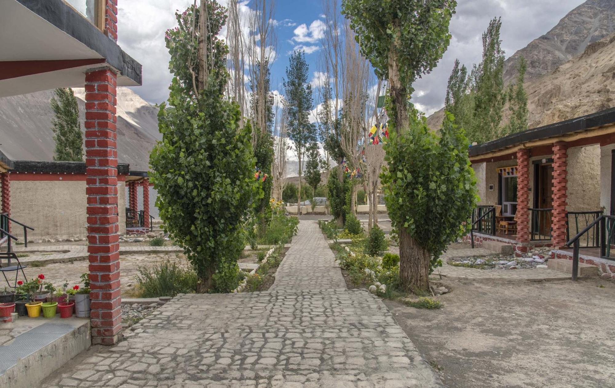 קאזה Echor Mud Huts Tabo, Spiti Valley מראה חיצוני תמונה